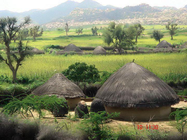  سندھ پاکستان  Tharparker